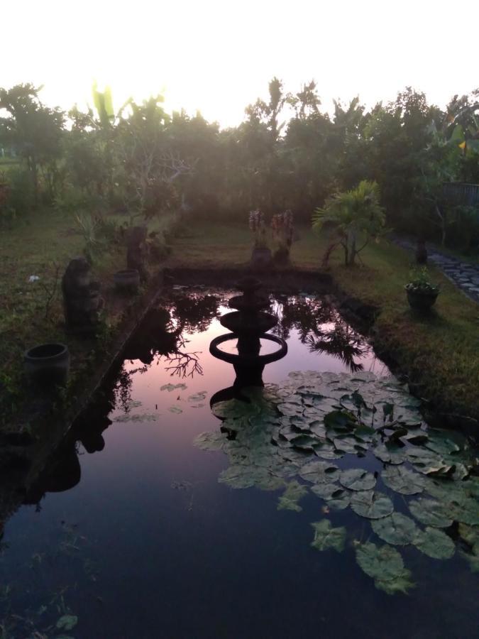 Taman Bintang Villa Ubud Bagian luar foto