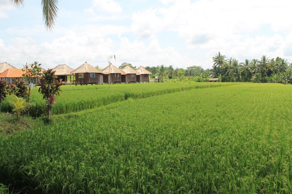 Taman Bintang Villa Ubud Bagian luar foto